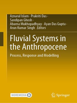 cover image of Fluvial Systems in the Anthropocene